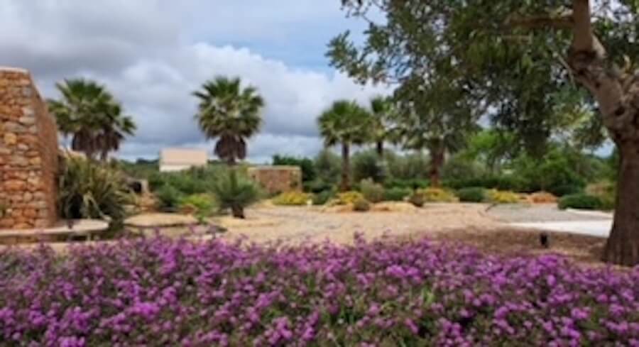 villa en es canar, ibiza