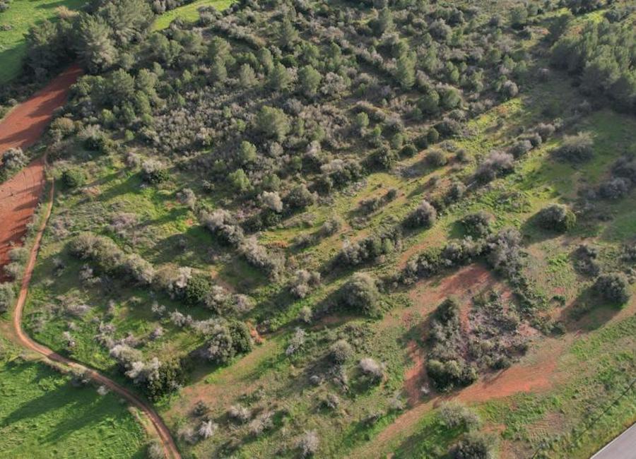 venta terreno rustico ibiza