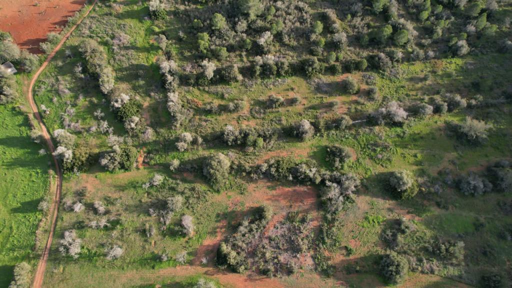 venta terreno rustico ibiza